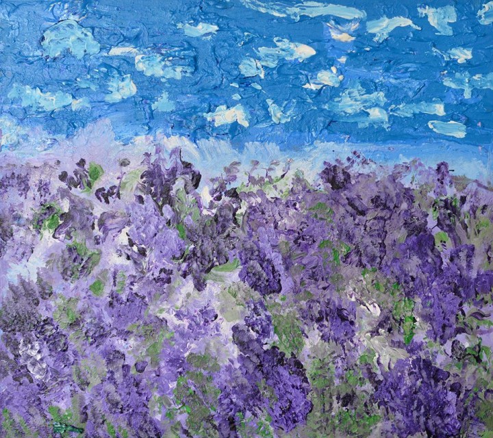 Lavender Field